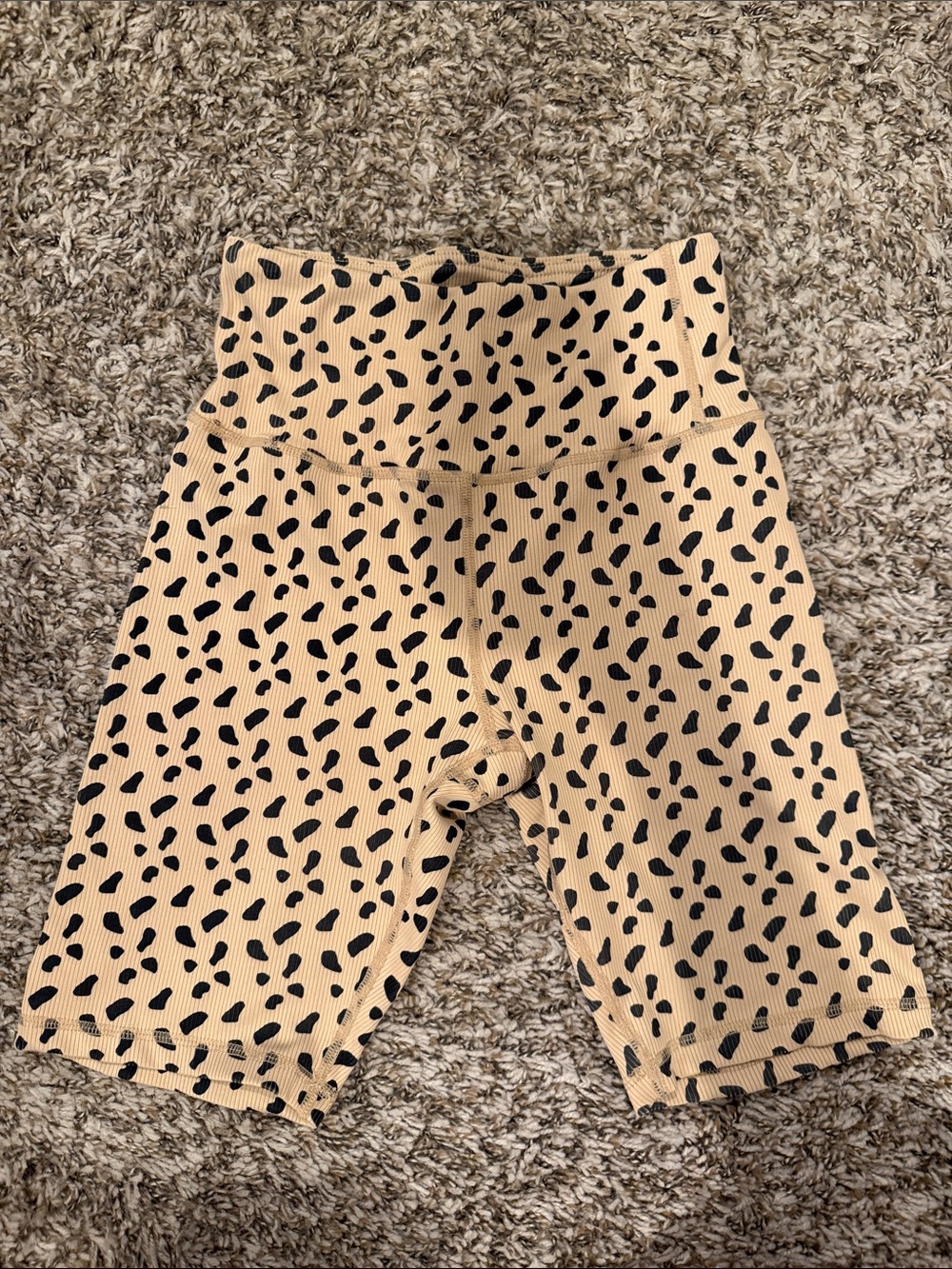 Gianni Bini Beige Ribbed Shorts with Black Spot Print
